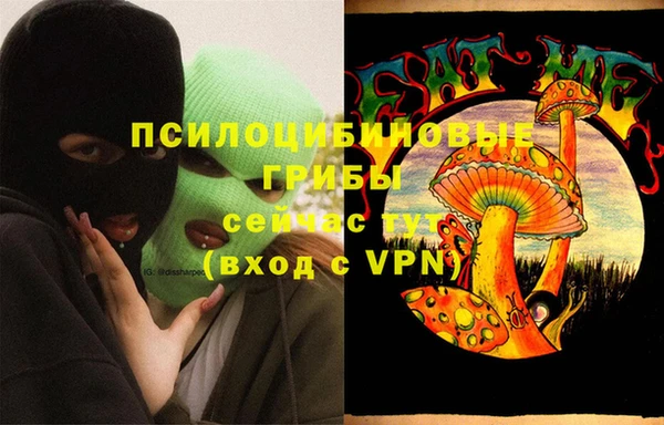 ECSTASY Алзамай