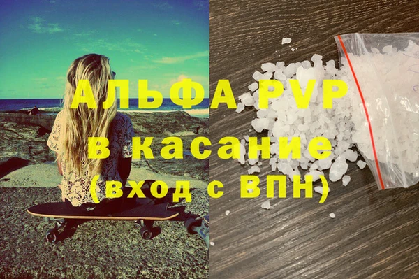 амф Новодвинск