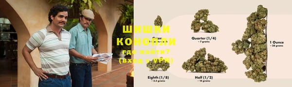 ECSTASY Алзамай