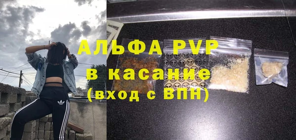 амф Новодвинск