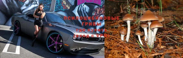 амфетамин Новозыбков